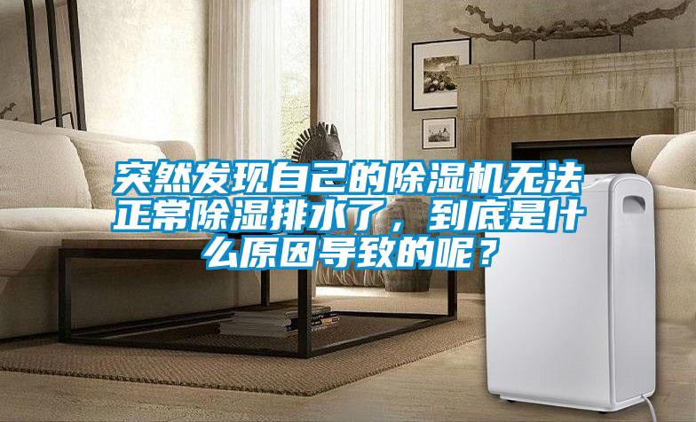 突然發(fā)現(xiàn)自己的除濕機(jī)無法正常除濕排水了,到底是什么原因?qū)е碌哪兀?/></p>
						    <p style=