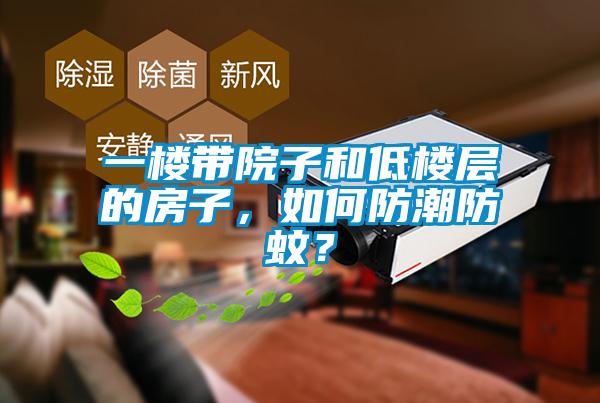 一樓帶院子和低樓層的房子,如何防潮防蚊?