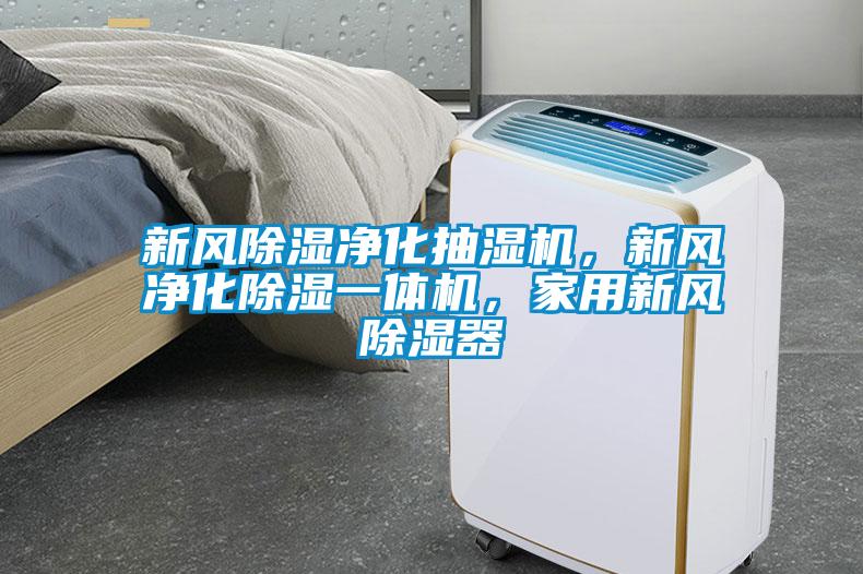 新風除濕凈化抽濕機,新風凈化除濕一體機,家用新風除濕器