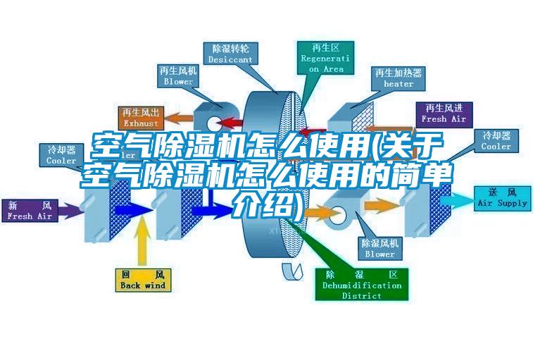 空氣除濕機怎么使用(關(guān)于空氣除濕機怎么使用的簡單介紹)