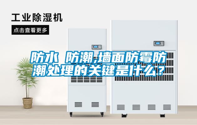 防水≠防潮,墻面防霉防潮處理的關鍵是什么?