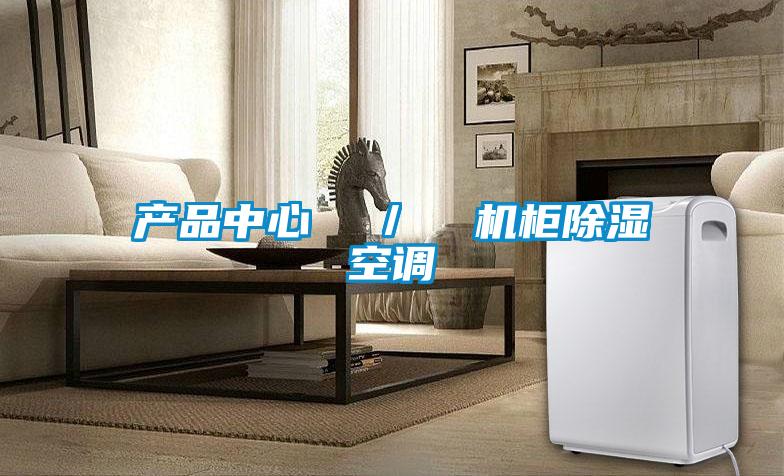 產(chǎn)品中心  /  機柜除濕空調(diào)