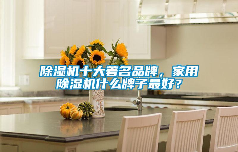 除濕機(jī)十大著名品牌，家用除濕機(jī)什么牌子最好？