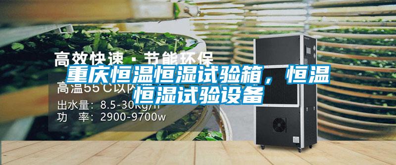 重慶恒溫恒濕試驗箱,恒溫恒濕試驗設備