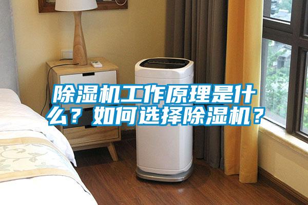 除濕機工作原理是什么？如何選擇除濕機？