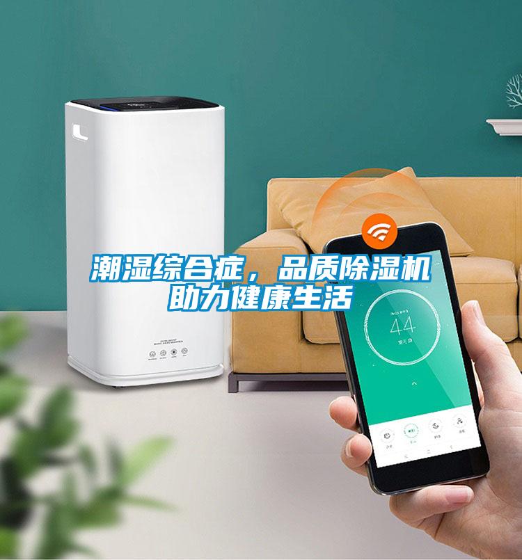 潮濕綜合癥，品質除濕機助力健康生活
