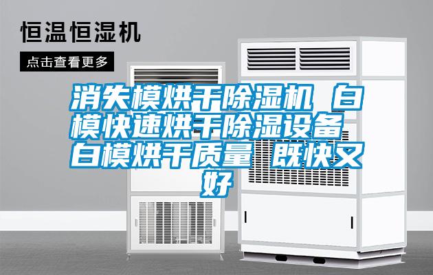 消失模烘干除濕機(jī) 白??焖俸娓沙凉裨O(shè)備 白模烘干質(zhì)量 既快又好