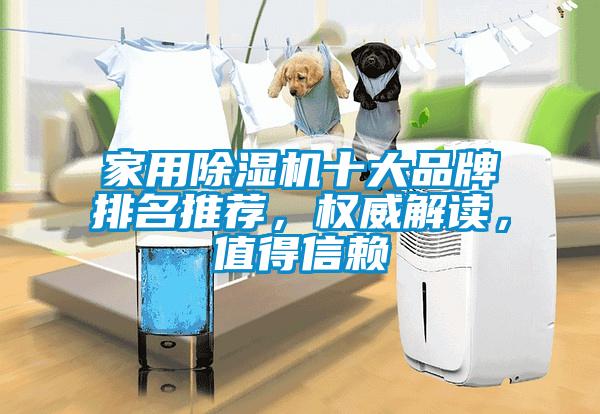 家用除濕機十大品牌排名推薦，權威解讀，值得信賴