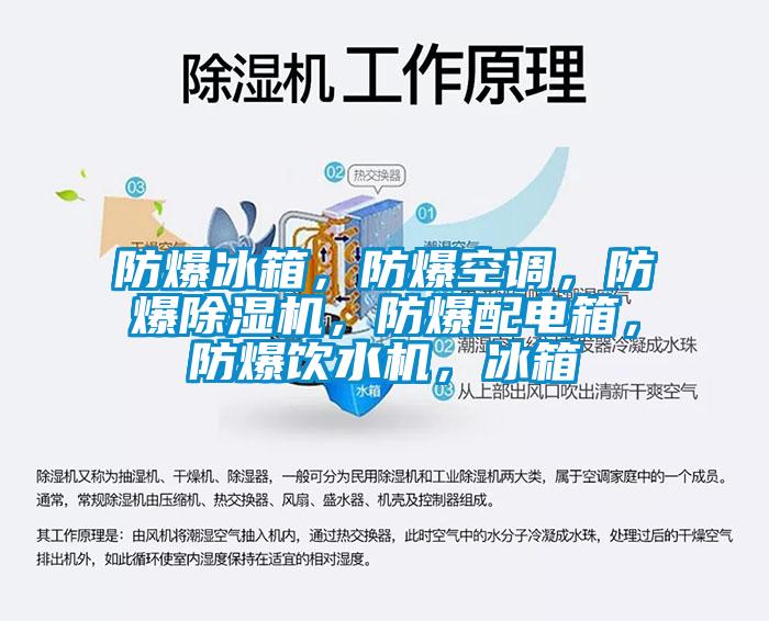 防爆冰箱,防爆空調(diào),防爆除濕機(jī),防爆配電箱,防爆飲水機(jī),冰箱