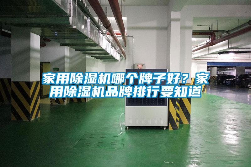家用除濕機哪個牌子好？家用除濕機品牌排行要知道