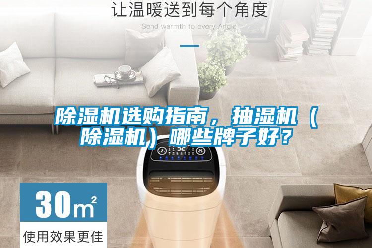 除濕機選購指南，抽濕機（除濕機）哪些牌子好？
