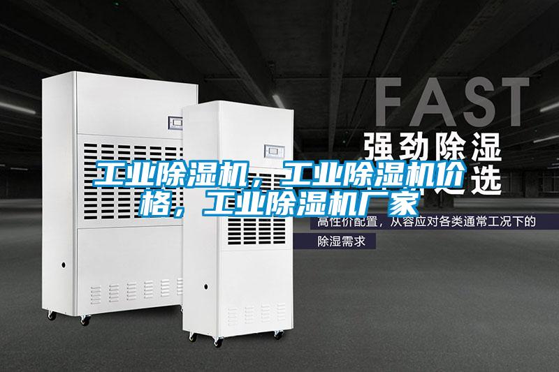 工業除濕機,工業除濕機價格,工業除濕機廠家