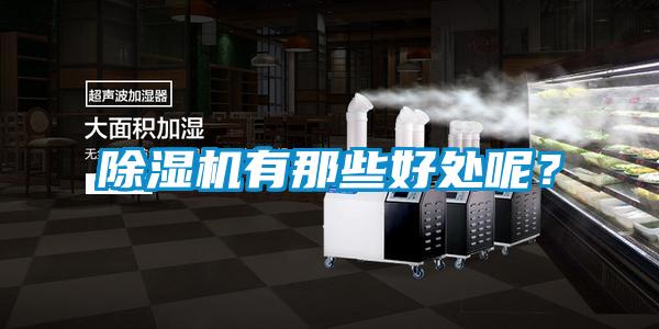 除濕機(jī)有那些好處呢？