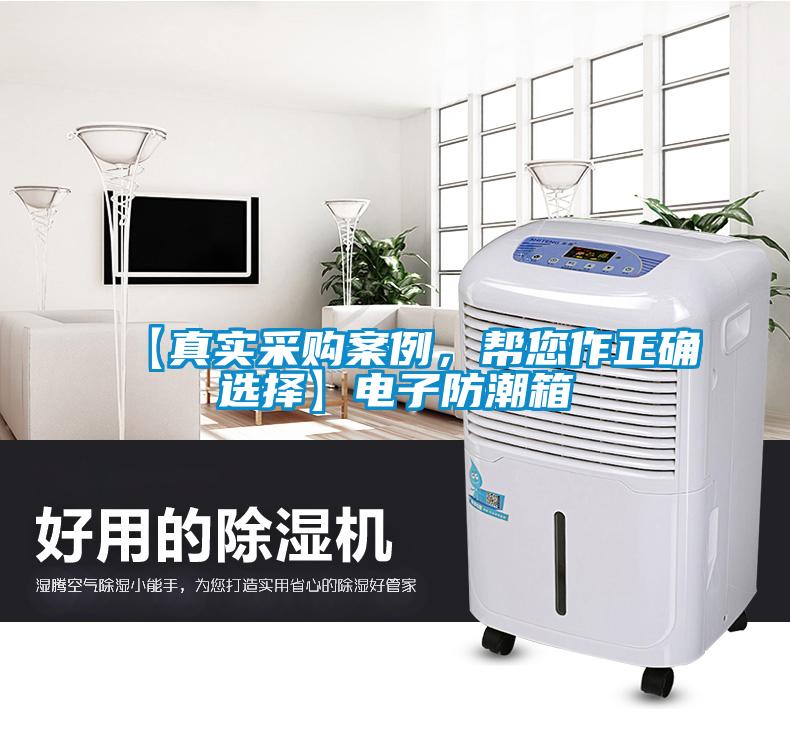 【真實采購案例,幫您作正確選擇】電子防潮箱