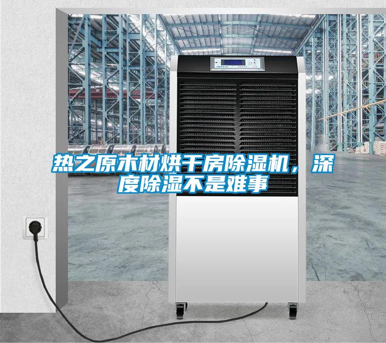 熱之原木材烘干房除濕機，深度除濕不是難事