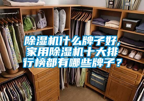 除濕機什么牌子好,家用除濕機十大排行榜都有哪些牌子?