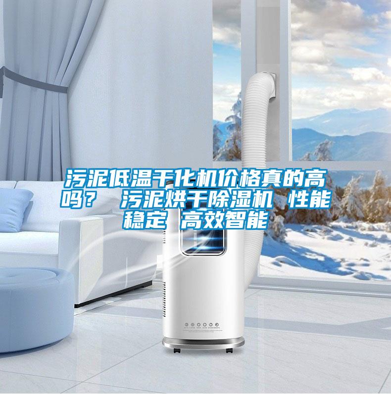 污泥低溫干化機價格真的高嗎？ 污泥烘干除濕機 性能穩定 高效智能