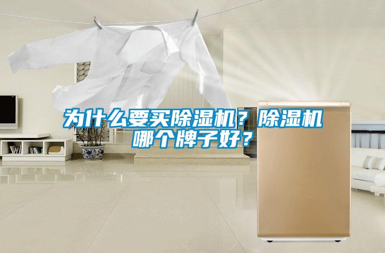 為什么要買除濕機(jī)？除濕機(jī)哪個牌子好？