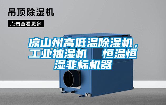 涼山州高低溫除濕機，工業抽濕機  恒溫恒濕非標機器
