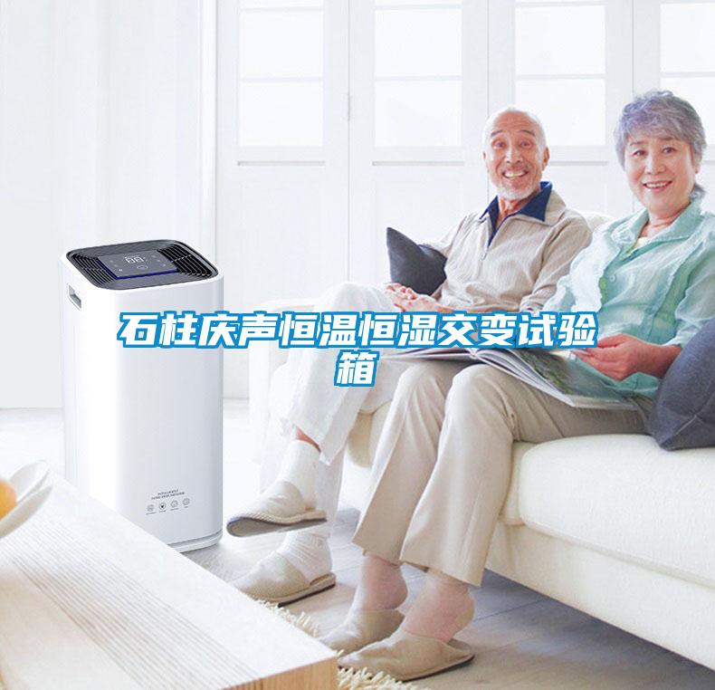 石柱慶聲恒溫恒濕交變試驗(yàn)箱
