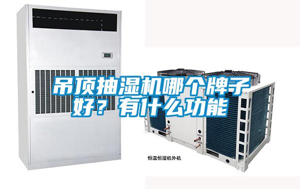 吊頂抽濕機哪個牌子好?有什么功能