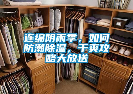 連綿陰雨季，如何防潮除濕，干爽攻略大放送