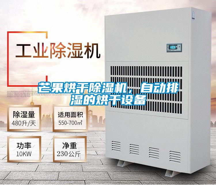 芒果烘干除濕機，自動排濕的烘干設備