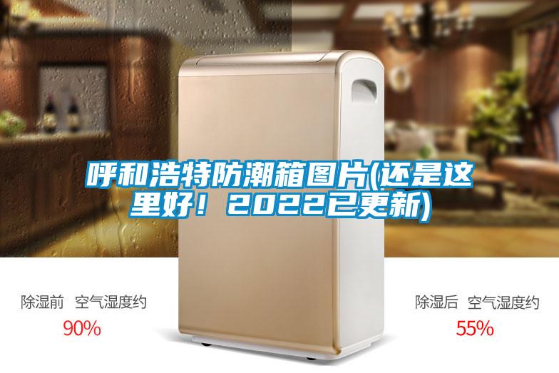 呼和浩特防潮箱圖片(還是這里好!2022已更新)