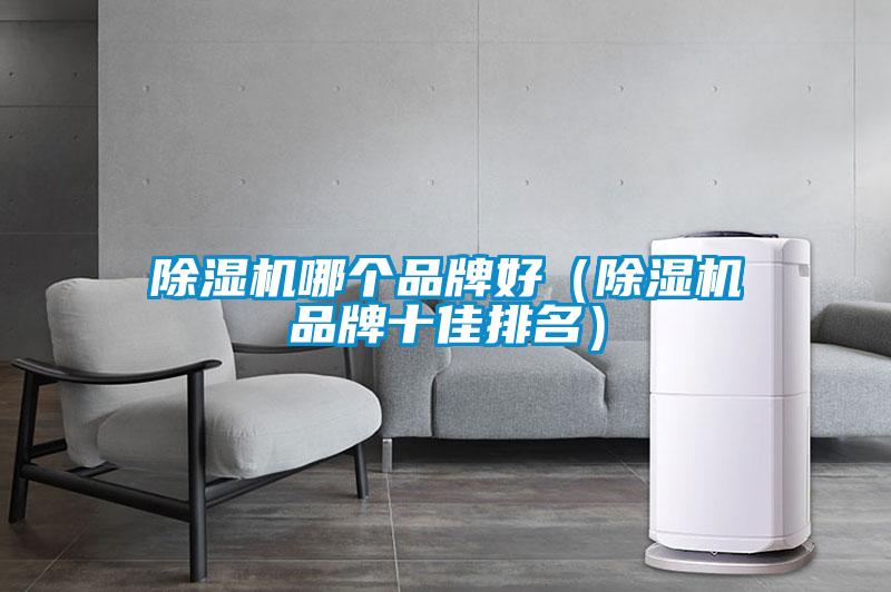 除濕機哪個品牌好(除濕機品牌十佳排名)