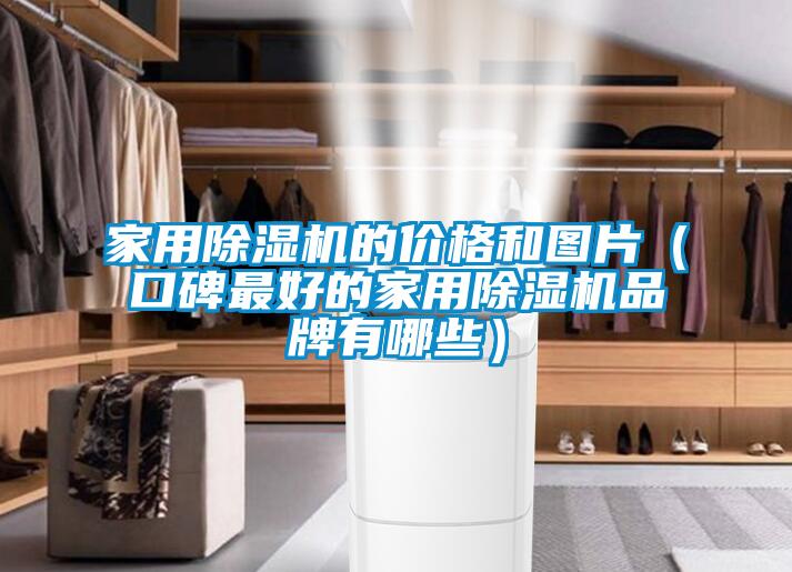 家用除濕機(jī)的價(jià)格和圖片(口碑最好的家用除濕機(jī)品牌有哪些)
