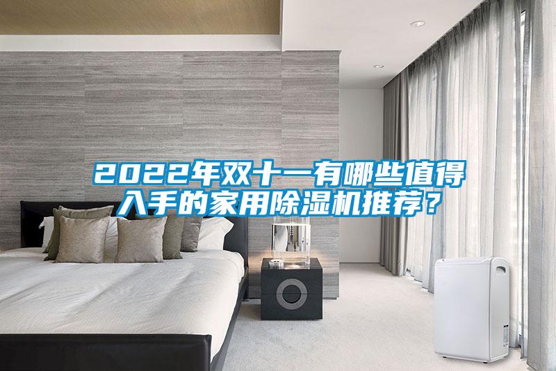 2022年雙十一有哪些值得入手的家用除濕機推薦？