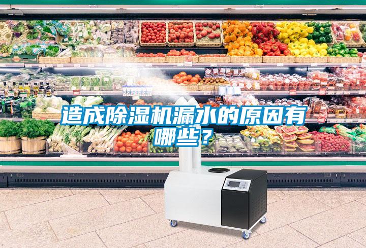 造成除濕機(jī)漏水的原因有哪些？