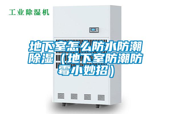 地下室怎么防水防潮除濕(地下室防潮防霉小妙招)