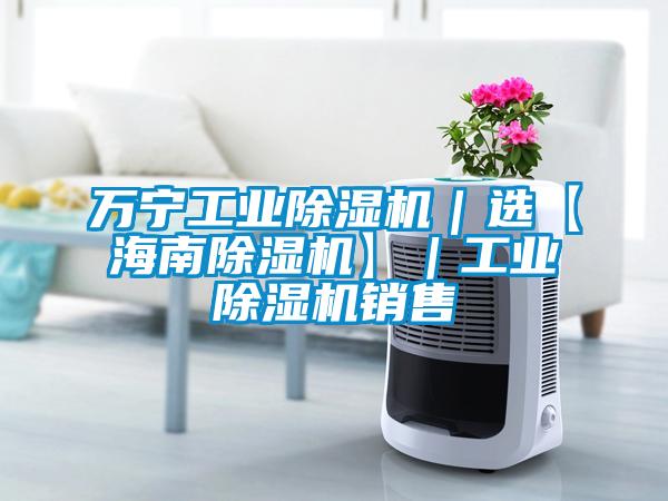 萬(wàn)寧工業(yè)除濕機(jī)|選【海南除濕機(jī)】|工業(yè)除濕機(jī)銷售