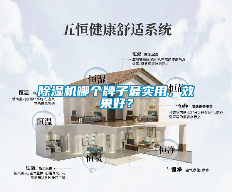 除濕機哪個牌子最實用，效果好？