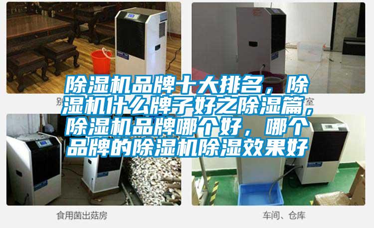 除濕機品牌十大排名，除濕機什么牌子好之除濕篇，除濕機品牌哪個好，哪個品牌的除濕機除濕效果好
