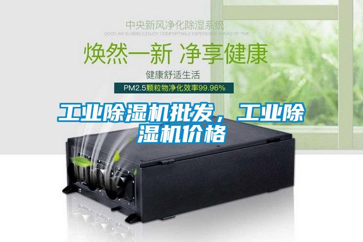 工業(yè)除濕機(jī)批發(fā),工業(yè)除濕機(jī)價(jià)格