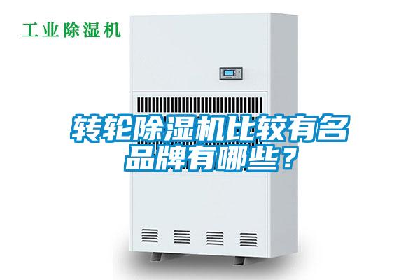轉(zhuǎn)輪除濕機(jī)比較有名品牌有哪些?