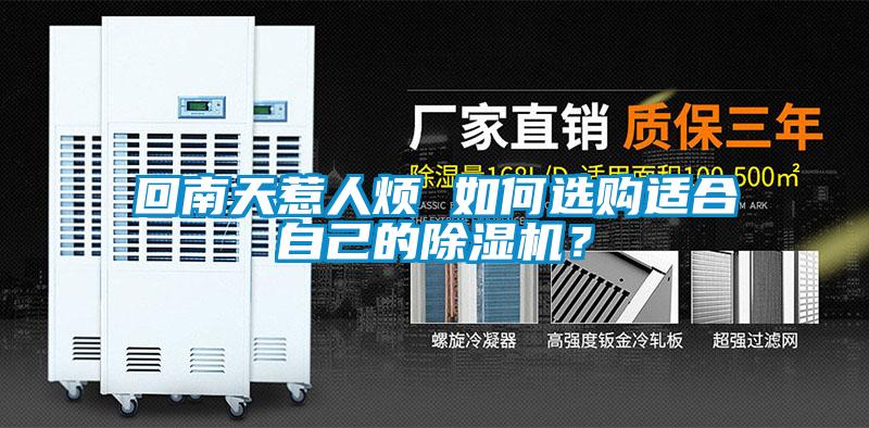 回南天惹人煩 如何選購適合自己的除濕機？