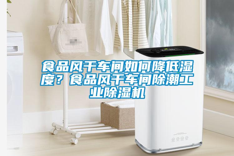 食品風(fēng)干車間如何降低濕度？食品風(fēng)干車間除潮工業(yè)除濕機