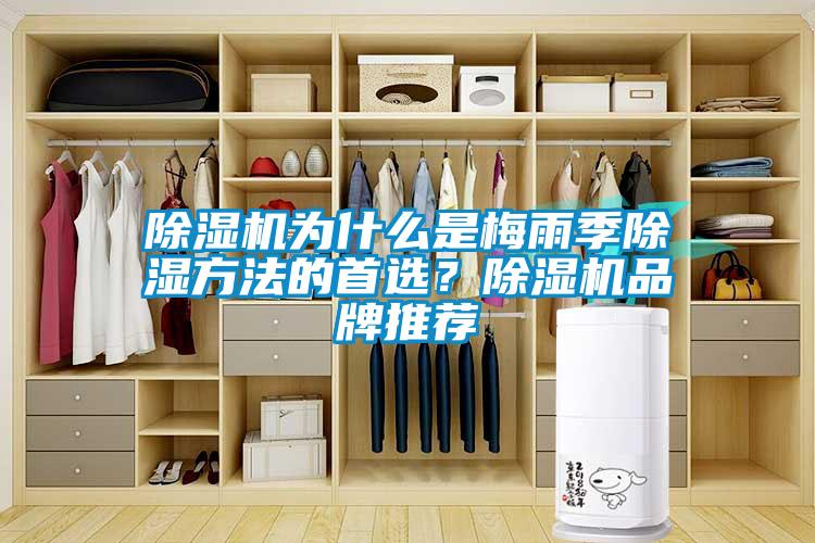 除濕機為什么是梅雨季除濕方法的首選？除濕機品牌推薦