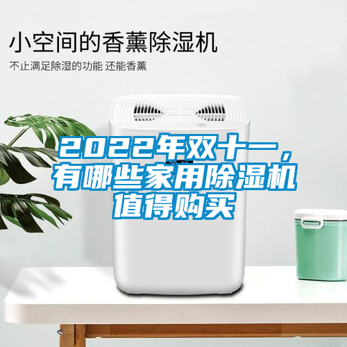 2022年雙十一，有哪些家用除濕機(jī)值得購(gòu)買