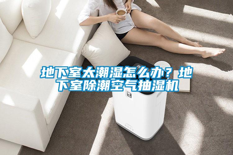 地下室太潮濕怎么辦?地下室除潮空氣抽濕機