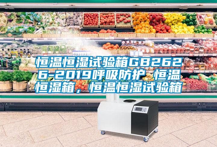 恒溫恒濕試驗(yàn)箱GB2626-2019呼吸防護(hù) 恒溫恒濕箱,恒溫恒濕試驗(yàn)箱