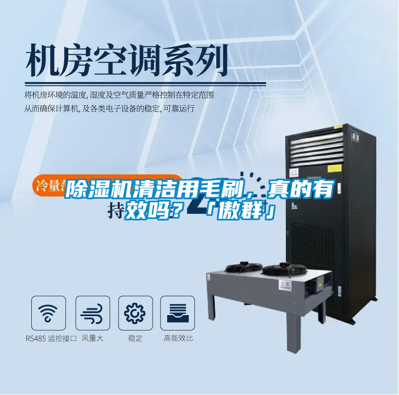 除濕機清潔用毛刷，真的有效嗎？「傲群」