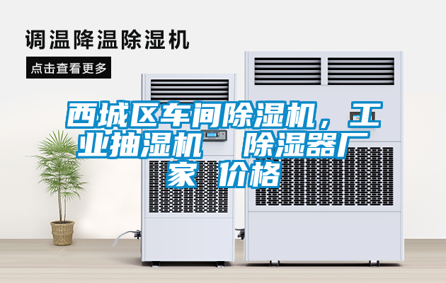 西城區車間除濕機,工業抽濕機  除濕器廠家 價格