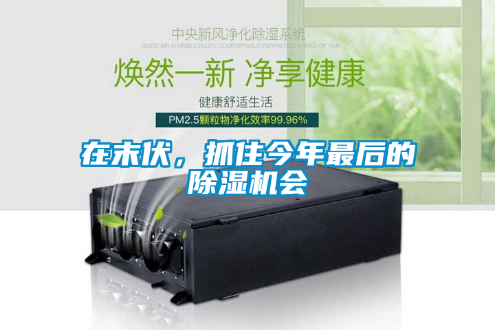 在末伏，抓住今年最后的除濕機(jī)會