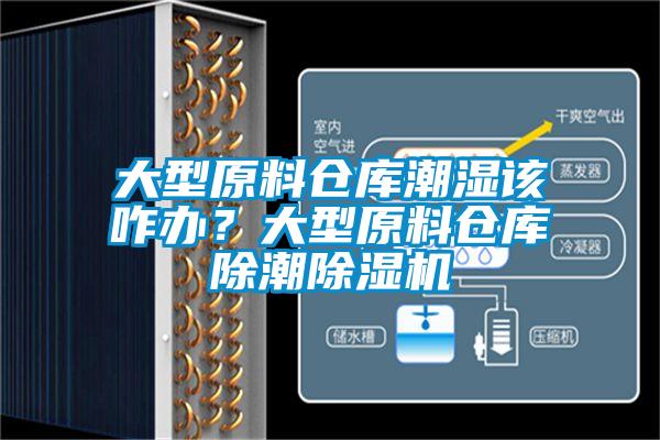 大型原料倉庫潮濕該咋辦？大型原料倉庫除潮除濕機(jī)