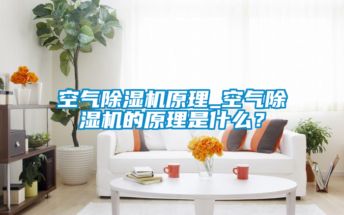 空氣除濕機原理_空氣除濕機的原理是什么？