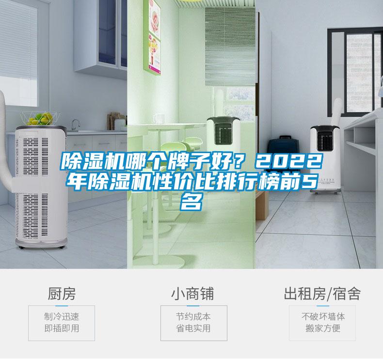 除濕機(jī)哪個牌子好？2022年除濕機(jī)性價比排行榜前5名